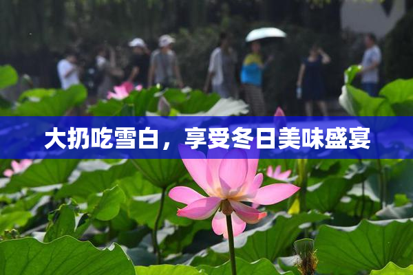 大扔吃雪白，享受冬日美味盛宴