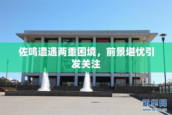 佐鸣遭遇两重困境，前景堪忧引发关注