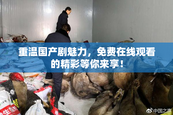 重温国产剧魅力，免费在线观看的精彩等你来享！
