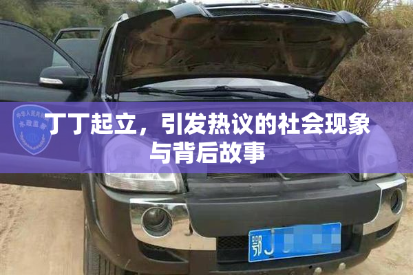 丁丁起立，引发热议的社会现象与背后故事