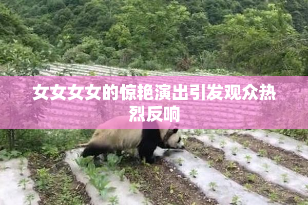 女女女女的惊艳演出引发观众热烈反响