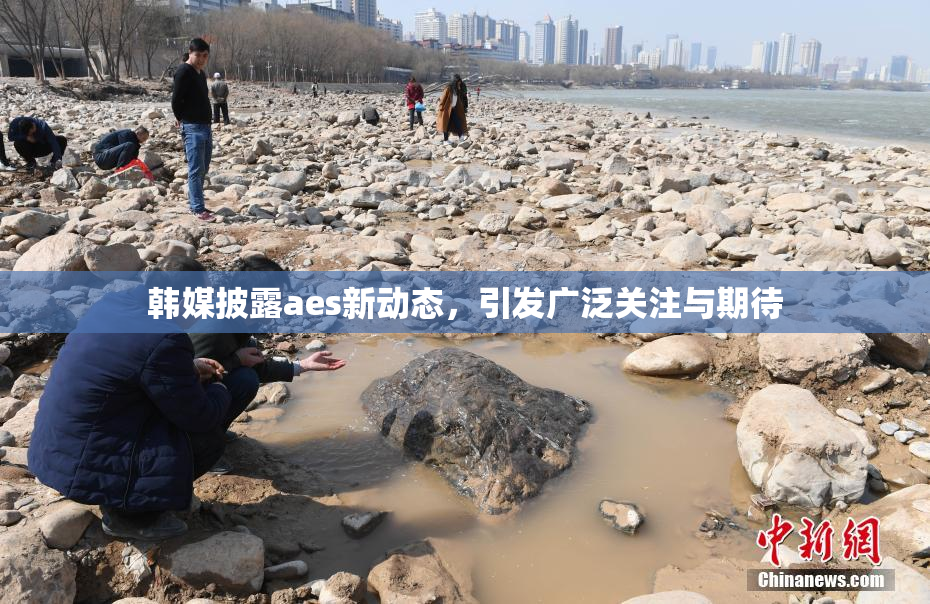 韩媒披露aes新动态，引发广泛关注与期待