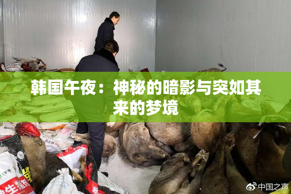 韩国午夜：神秘的暗影与突如其来的梦境