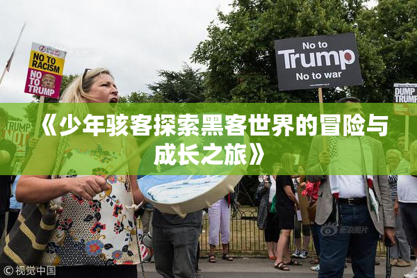 《少年骇客探索黑客世界的冒险与成长之旅》