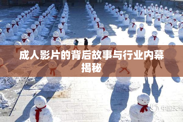成人影片的背后故事与行业内幕揭秘