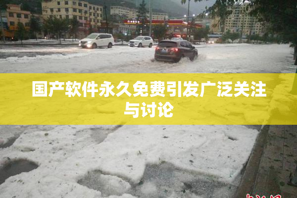 国产软件永久免费引发广泛关注与讨论