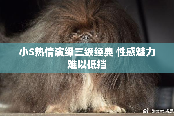 小S热情演绎三级经典 性感魅力难以抵挡