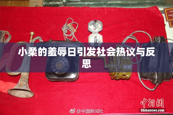 小柔的羞辱日引发社会热议与反思