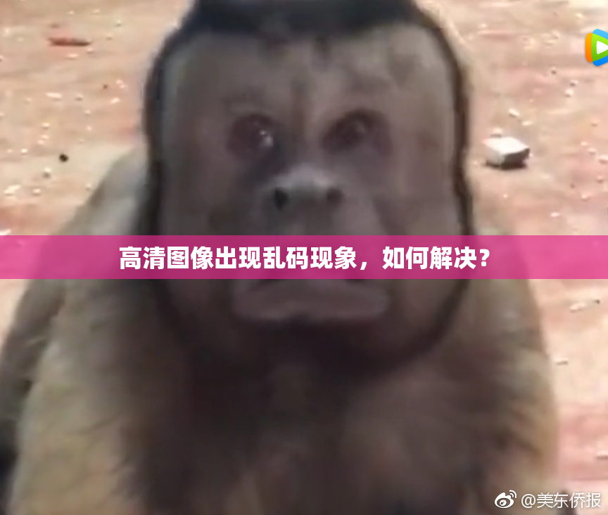 高清图像出现乱码现象，如何解决？