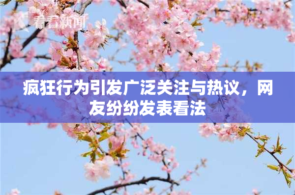 疯狂行为引发广泛关注与热议，网友纷纷发表看法