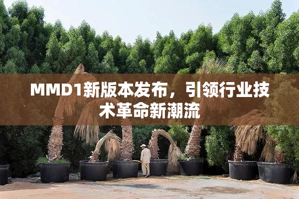 MMD1新版本发布，引领行业技术革命新潮流