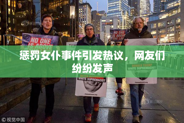 惩罚女仆事件引发热议，网友们纷纷发声