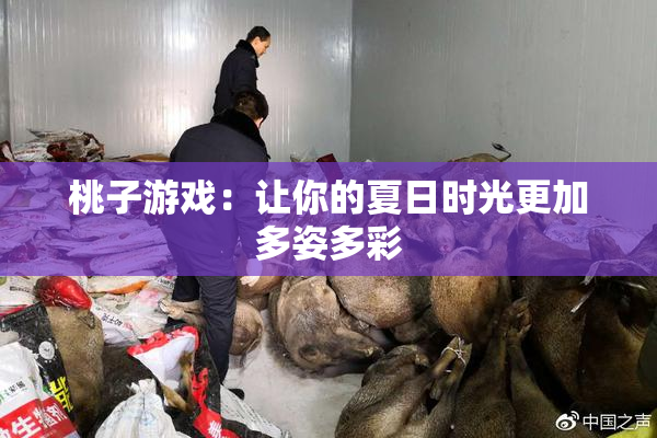 桃子游戏：让你的夏日时光更加多姿多彩