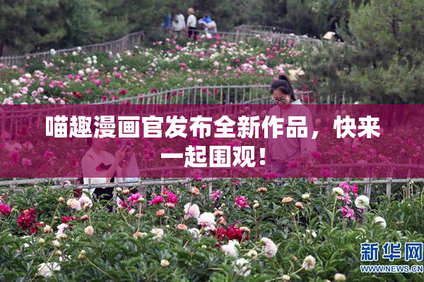 喵趣漫画官发布全新作品，快来一起围观！