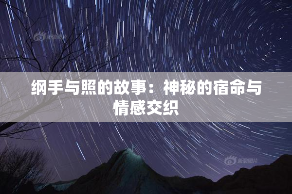 纲手与照的故事：神秘的宿命与情感交织