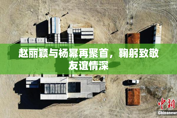 赵丽颖与杨幂再聚首，鞠躬致敬友谊情深