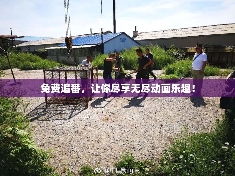 免费追番，让你尽享无尽动画乐趣！