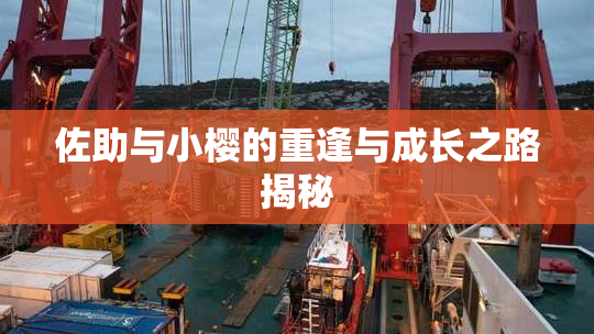 佐助与小樱的重逢与成长之路揭秘