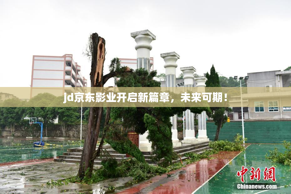 jd京东影业开启新篇章，未来可期！