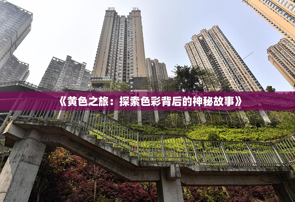 《黄色之旅：探索色彩背后的神秘故事》