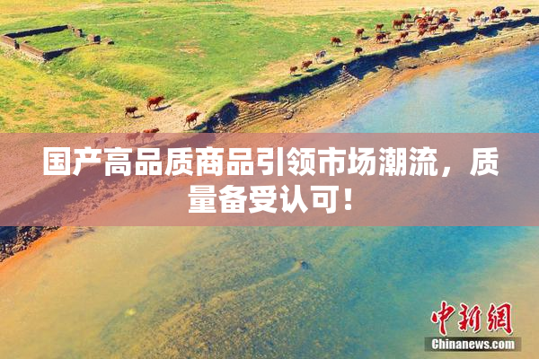 国产高品质商品引领市场潮流，质量备受认可！