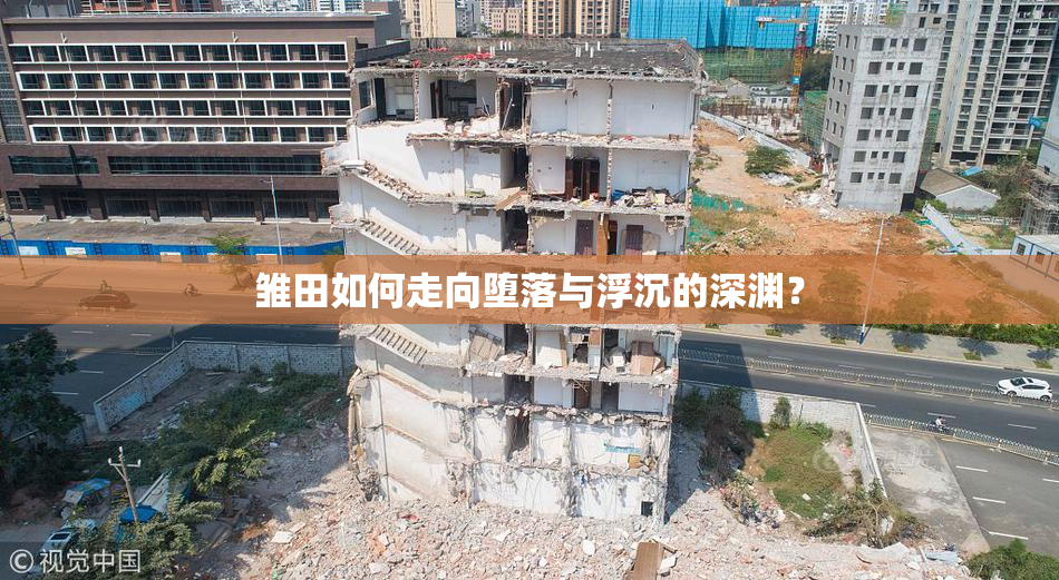 雏田如何走向堕落与浮沉的深渊？