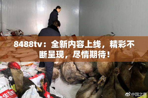 8488tv：全新内容上线，精彩不断呈现，尽情期待！