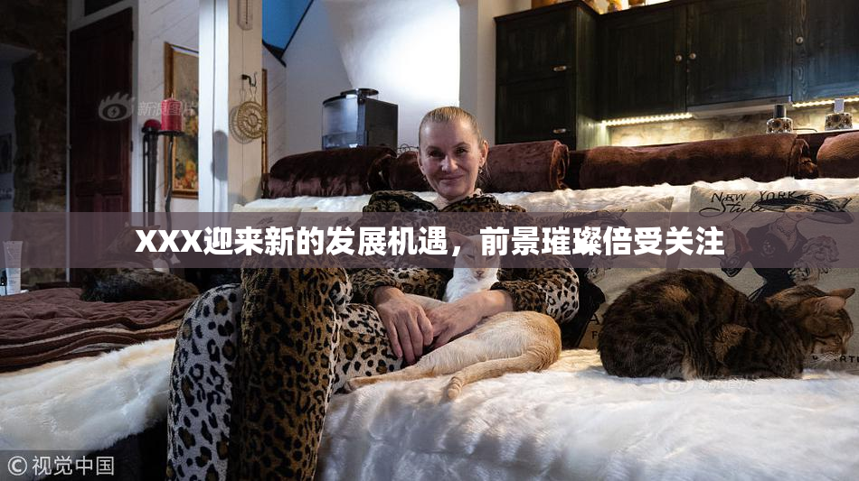 XXX迎来新的发展机遇，前景璀璨倍受关注