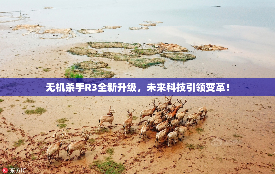 无机杀手R3全新升级，未来科技引领变革！