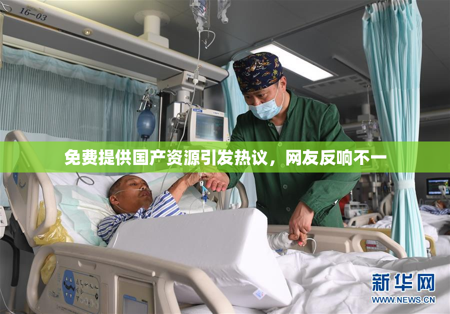 免费提供国产资源引发热议，网友反响不一