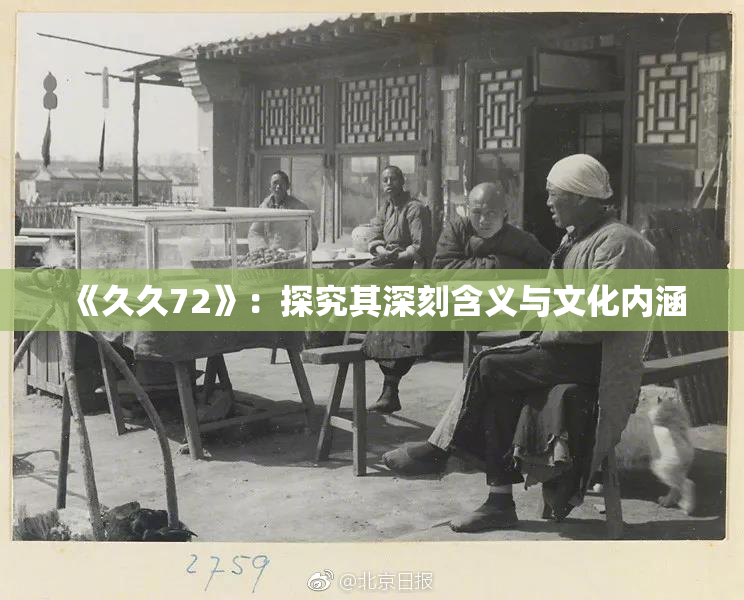 《久久72》：探究其深刻含义与文化内涵