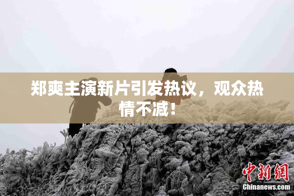 郑爽主演新片引发热议，观众热情不减！