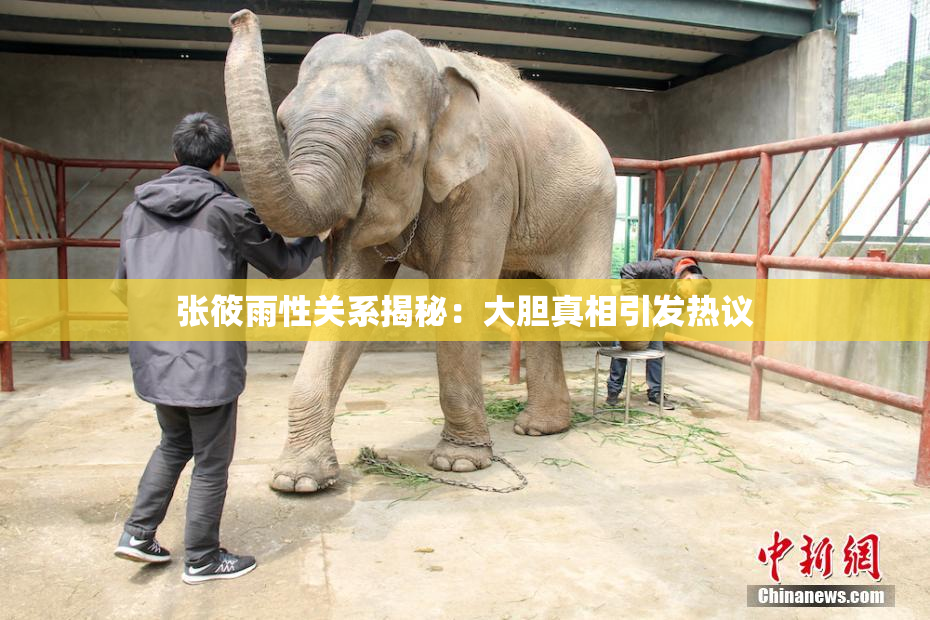 张筱雨性关系揭秘：大胆真相引发热议