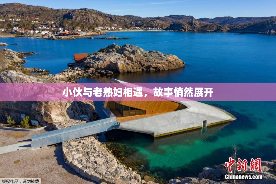 小伙与老熟妇相遇，故事悄然展开