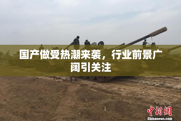 国产做受热潮来袭，行业前景广阔引关注