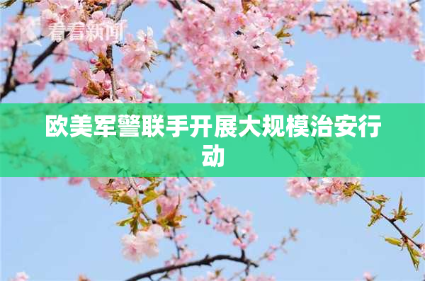 欧美军警联手开展大规模治安行动