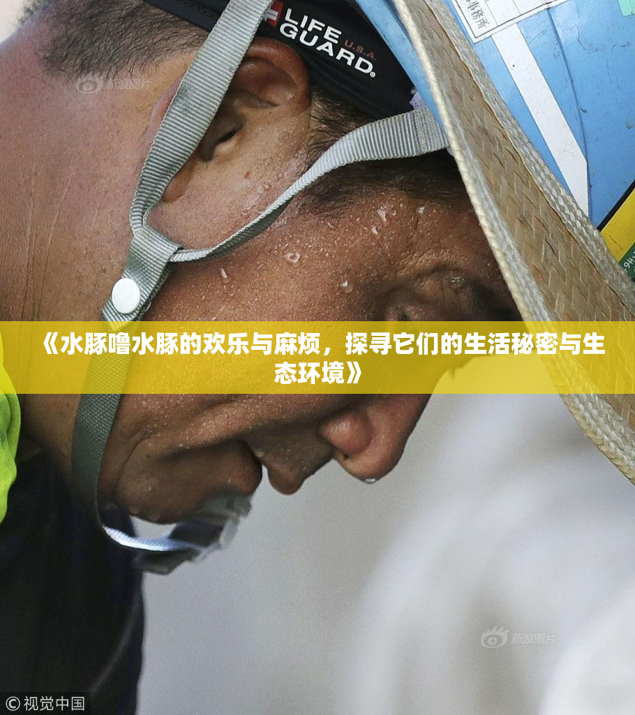 《水豚噜水豚的欢乐与麻烦，探寻它们的生活秘密与生态环境》