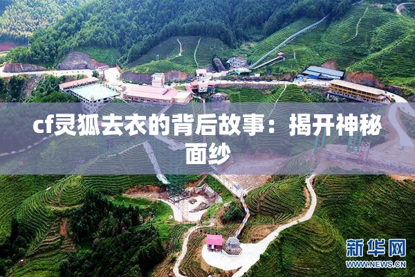 cf灵狐去衣的背后故事：揭开神秘面纱