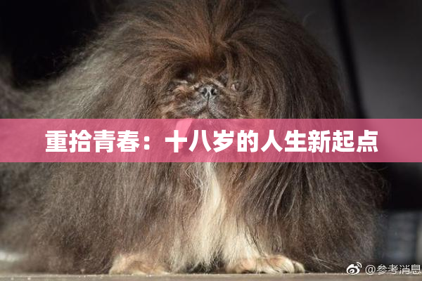 重拾青春：十八岁的人生新起点