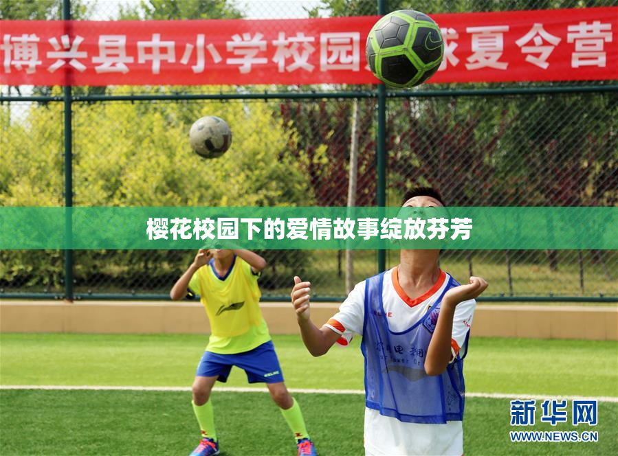 樱花校园下的爱情故事绽放芬芳