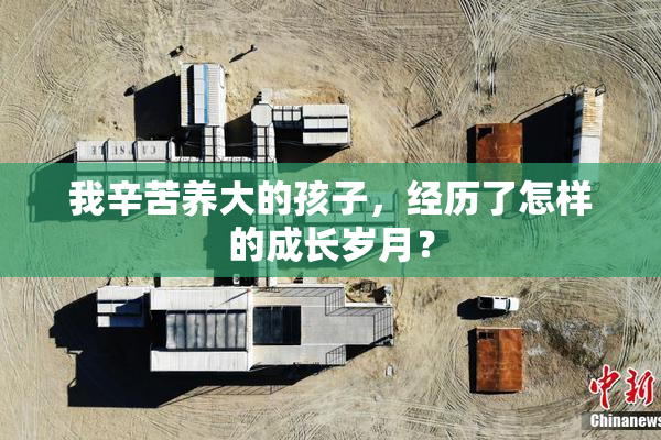 我辛苦养大的孩子，经历了怎样的成长岁月？