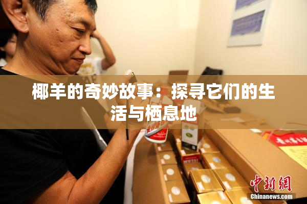 椰羊的奇妙故事：探寻它们的生活与栖息地