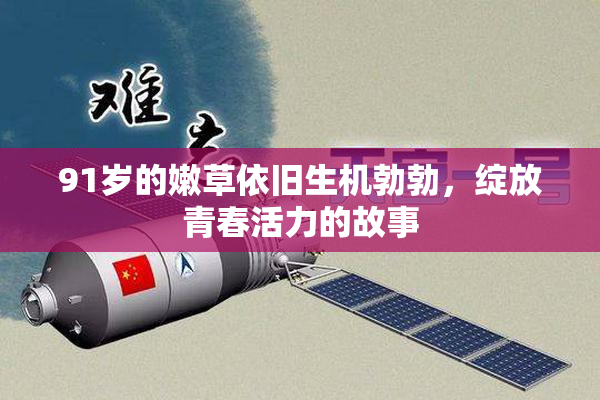 91岁的嫩草依旧生机勃勃，绽放青春活力的故事