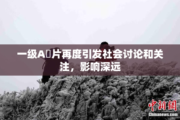 一级A婬片再度引发社会讨论和关注，影响深远