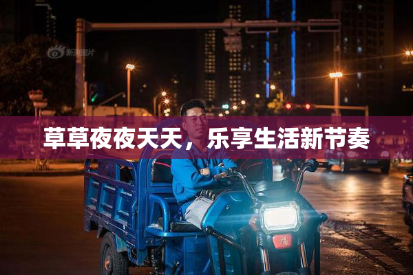 草草夜夜天天，乐享生活新节奏