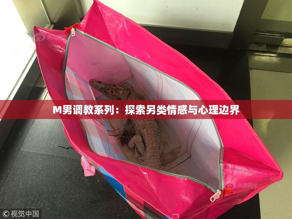 M男调教系列：探索另类情感与心理边界