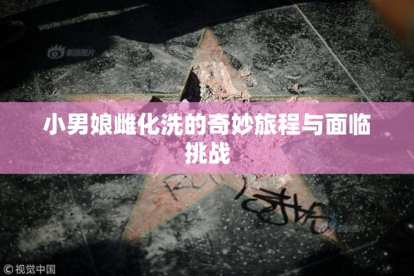 小男娘雌化洗的奇妙旅程与面临挑战