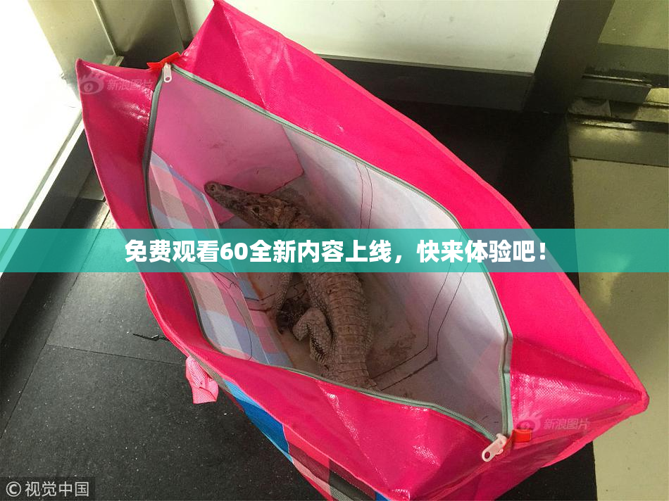 免费观看60全新内容上线，快来体验吧！