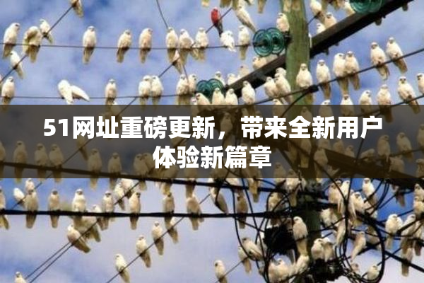51网址重磅更新，带来全新用户体验新篇章