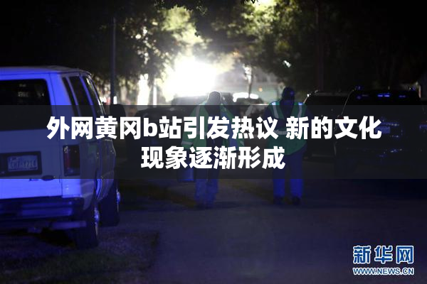 外网黄冈b站引发热议 新的文化现象逐渐形成